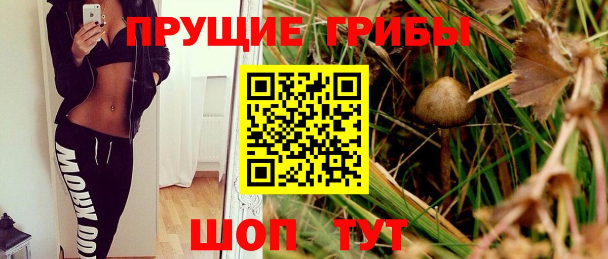 Галлюциногенные грибы мухоморы Юрга