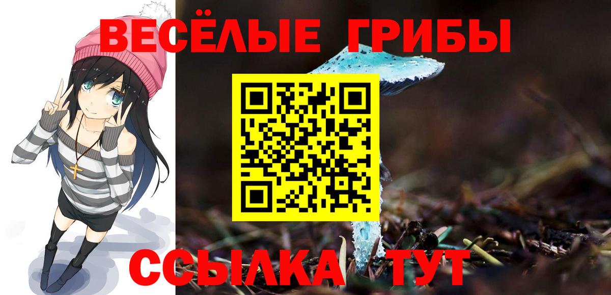 купить  сайты  Вход с VPN  Юрга  Галлюциногенные грибы Psilocybine cubensis 